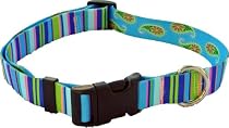 Blue Stripes Collar