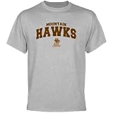 NCAA Lehigh Mountain Hawks Ash Logo Arch T-shirt-