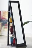 Review Home Decorators Collection  / Contemp Swivel Storage Mirror 63.5