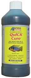 Aquarium Products Quick Cure Pond Treament, 16-Ounce