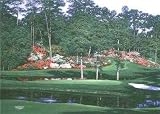 15Th At Augusta by Larry Dyke. Art Print Poster 0 inches width by 0 inches height. Highest Quality Art Poster Print