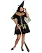 Wizard Of Oz Secret Wishes Wicked Witch Of The West Costume, Black, Plus