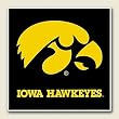 AbsorbaStone Coaster set~ Iowa Hawkeyes ~ 4 Tile Drink Coasters ~ code 926