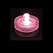 Box of 10 Acolyte Submersible Floralyte Pink