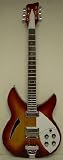  : Semi Hollow Body Electric Guitar