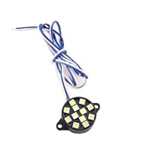 Water Proof 12 Volt DC, 12 LED Bright White Light