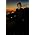 Thumbnail image of Adam Freeland