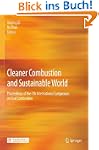 Cleaner Combustion and Sustainable World