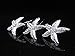 20 Pieces Bride Rhinestone Starfish Hair Pin for Beach Themed Wedding, Hair Stick Women Hair Accessories Hairpiece