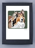 Paper Russells Collie smiling Boxed Note Cards - Eco-Friendly from the USA
