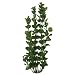 Tetra WaterWonders Moneywort 18