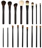 17 Piece Expert Makeup Brush Set - B001LTY12W