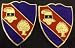 354th REGIMENT BCT USAR Distinctive Unit Insignia - Pair