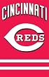 Cincinnati Reds Applique Embroidered Banner Flag 44"x28" MLB Baseball Fan Shop Sports Team Merchandise