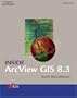 Inside ArcView GIS 8.3