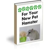 zhu zhu pets hamster pink Caring For zhu zhu pets hamster pink Caring For