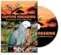 CAPTIVE FORAGING: DVD