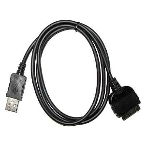 Premium Black USB Charging Sync Cable for Apple Iphone 3G, 3Gs, iPhone 8GB, 16GB, iPhone 2G, iPod Nano (3rd / 4th Generation), iPod Touch (1st / 2nd Generation) 8GB, 16GB, 32GB, iPod Classic by Accessory Export