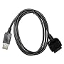 Premium Black USB Charging Sync Cable for Apple Iphone 3G, 3Gs, iPhone 8GB, 16GB, iPhone 2G, iPod Nano (3rd / 4th Generation), iPod Touch (1st / 2nd Generation) 8GB, 16GB, 32GB, iPod Classic by Accessory Export