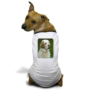 Amazon.com : CafePress Clumber Spaniel 9Y0