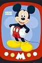 Mickey Mouse Disney TV New Poster