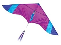 Go Fly A Kite Hang Glider Kite