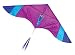 Go Fly A Kite Hang Glider Kite