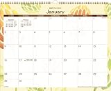 Day Runner Water Colors Recycled Wall Calendar, 15 x 12 Inches, 2011 (PM1-791G)
