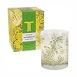 The Thymes Indigenous Anjou Vert Candle - 9 oz.