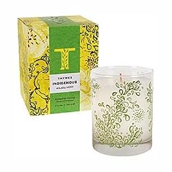 The Thymes Indigenous Anjou Vert Candle - 9 oz.