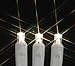 Novelty Lights 50 Light LED Twinkle Christmas LED Mini Light Set, Outdoor Curtain Fairy Wedding String Lights, Non-Connectable, Warm White, White White, 7 Feet