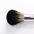 Powder Brush