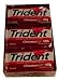 Gourmet Food : Trident Sugarless Gum Cinnamon Flavor