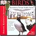DK Eyewitness Virtual Reality Birds