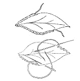 Handbook of Embroidery (Illustrated)