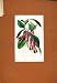 POMERGRANITE ANTIQUE HAND COLORED PRINT c1831 FRUIT