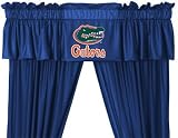 NCAA Florida Gators Valance