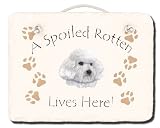 Bichon Frise Spoiled Rotten Slate