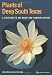 Plants of Deep South Texas: A Field Guide to the Woody and Flowering Species (Perspectives on South Texas, sponsored by Texas A&M University-Kingsville)