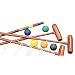 Sporting Goods : Franklin Expert 6-Player Croquet Set
