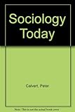 Sociology today