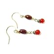 Poppy Jasper and Garnet Dangle Earrings