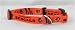 bengal2  - Cincinnati Bengals NFL Pet Collar Adjustable 58 Web