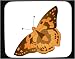 Decorated Mouse Pad with butterfly, invertebrate, nymphalid, insect, pollination, "painted lady", animal, pollinator, arthropod, fjarril