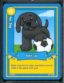 Ganz WebKinz Trading Card #8 Black Lab - Mint Condition - Shipped in Protective Case!