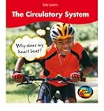 The circulatory system : why does my heart beat?