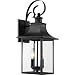 Quoizel CCR8408K Chancellor Outdoor Lantern, Medium, Mystic Black