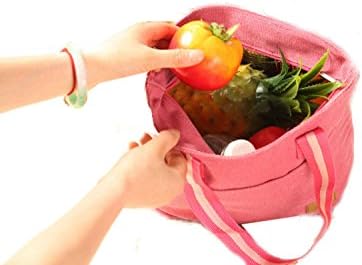 OZZOY Multifunctional Canvas Summer Camping Cold Bags Reusable Picnic Lunch Bag Stripes Zipper Outdoor Insulation Package with Zipper (Pink)