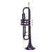 Cecilio Purple B Flat Trumpet w/ Hard Shell Carrying Case and Accessories