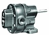 BSM Pump 713-910-8 1S Flange Mounted Rotary Gear Pump